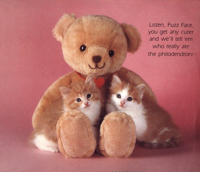 Kittens{!--새끼/아기 고양이--> - Cat's Meow 1991 Calendar; DISPLAY FULL IMAGE.
