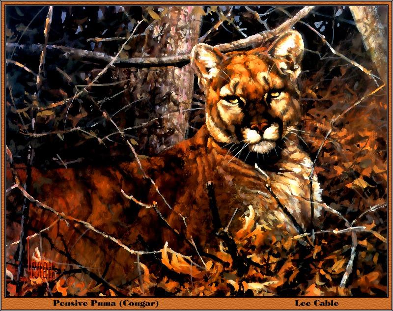 [Animal Art] Cougar (Puma concolor){!--퓨마/쿠거-->: 'Pensive Puma' by Lee Cable; DISPLAY FULL IMAGE.