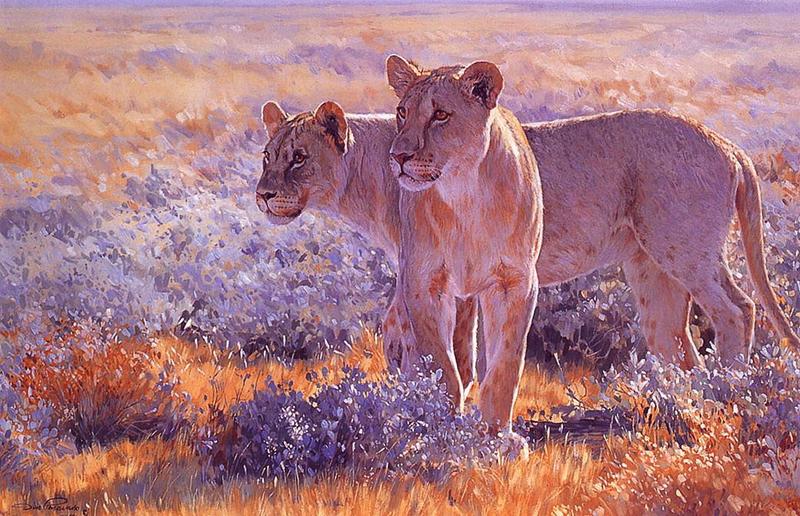 [Animal Art] African lion (Panthera leo) {!--아프리카사자, 암사자--> : lioness; DISPLAY FULL IMAGE.