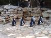 Penguins, Tel Aviv Zoological Center. By: Shai Bohr, Israel