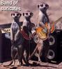 [Funny] Band of suricates