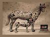 [Funny] Dalmatian Horse and Dog