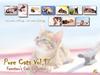 Kametaro's Cats Collection: Pure Cats Vol. 17 - Kitten - Index