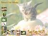 Kametaro's Cats Collection: Pure Cats Vol. 21 - Kitten - Index