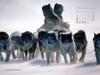 KOPRI Calendar 2004.09: Eskimo and Sled Dogs