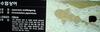 수염상어 (Japanese Wobbegong, Orectolobus japonicus)