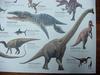 [공룡] 브라키오사우루스 (Brachiosaurus)