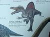 [공룡] 스피노사우루스(Spinosaurus)