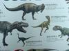 [공룡] 타르보사우루스(Tarbosaurus)
