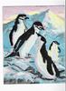 PENQUINS -- Chinstrap Penguin (Pygoscelis antarctica)