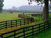 Horse Farm, Goshen, Kentucky