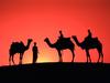 Sam Sand Dunes, Rajasthan, India (Camels)