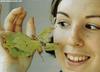 leaf mantis - Phyllium giganteum