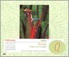 [xLR8 Frogs 2004 Box Calendar] 078 Red-eyed treefrog - Agalychnis callidryas