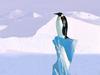 [Gallery CD01] Penguin Perch