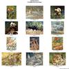 Consigliere Scan: Vanishing Species, The Wildlife Art of Laura Regan - Index 001