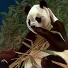 Consigliere Scan: Vanishing Species, The Wildlife Art of Laura Regan - 004 Giant Panda