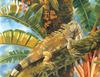 Consigliere Scan: Vanishing Species, The Wildlife Art of Laura Regan - 017 Green Iguana