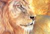 Consigliere Scan: Vanishing Species, The Wildlife Art of Laura Regan - 029 Lion