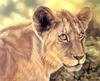 Consigliere Scan: Vanishing Species, The Wildlife Art of Laura Regan - 030 Lion