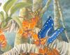 Consigliere Scan: Vanishing Species, The Wildlife Art of Laura Regan - 042 Butterfly