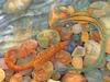 Consigliere Scan: Vanishing Species (Wallpaper) 042 Rainbow Lizard & Gecko