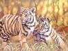 Consigliere Scan: Vanishing Species (Wallpaper) 043 Tiger Cubs