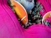 Screen Themes - Coral Reef Fish - Pink Anemonefish