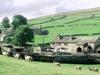 Screen Themes - Rustic Barns - Sheep, Yorkshire Dales, England