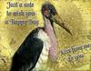 Marabou Stork (virtual-card)