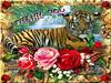Baby Siberian Tiger (virtual card)