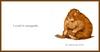 [D50 Scan] Jane Seabrook 'Furry Logic' - Unstoppable (Marmot)