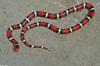 Misc Snakes - Scarlet King Snake (Lampropeltis triangulum elapsoides)001