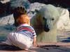 A Close Encounter (Polar Bear and Baby)