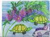 turtles and fish