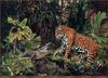 TXscan 03 Tom Beecham-A Jaguar Changes His Mind