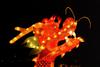[Animal Lantern] Oriental Dragon