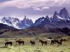 [BitTorrent-Horses]  Andes Mountains, Patagonia, Argentina