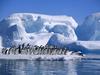 [Daily Photos] Adelie Penguins in Hope Bay, Antarctica