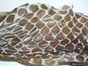 Eastern Indigo Snake (Drymarchon corais couperi)