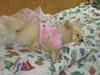 I want to sleep...Thailand
