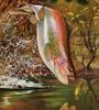 [Animal Art] J.E. Mason - Rainbow Trout