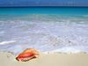 [Daily Photos] Beachside Treasure, Yucatan Peninsula, Mexico