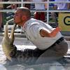 crazy man fighting gator at Gatorland