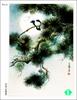 [WY scan] Zeng Xiao Lian - 寧靜(藍歌鴝) - Siberian blue robin (Larvivora cyane)