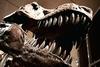 What Really Killed the Dinosaurs? [TheEpochTimes 2006-06-10]
