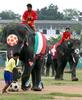 Thai elephants, soccer