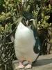 Penguin from whipsnade Zoo