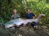 Record Giant Catfish Caught In Spain