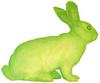 Alba, the fluorescent bunny